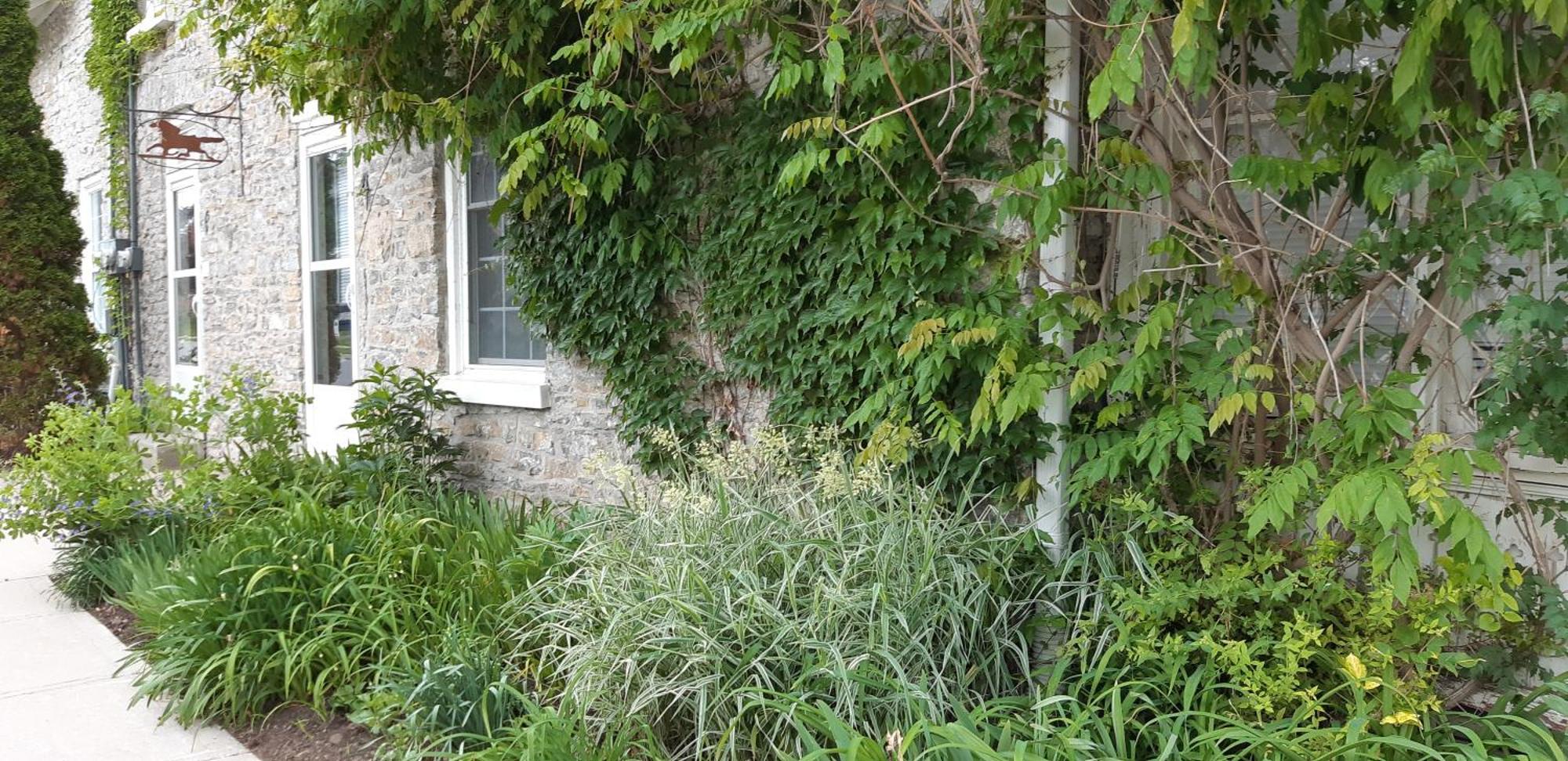 Stone Carriage House Villa Picton Eksteriør bilde