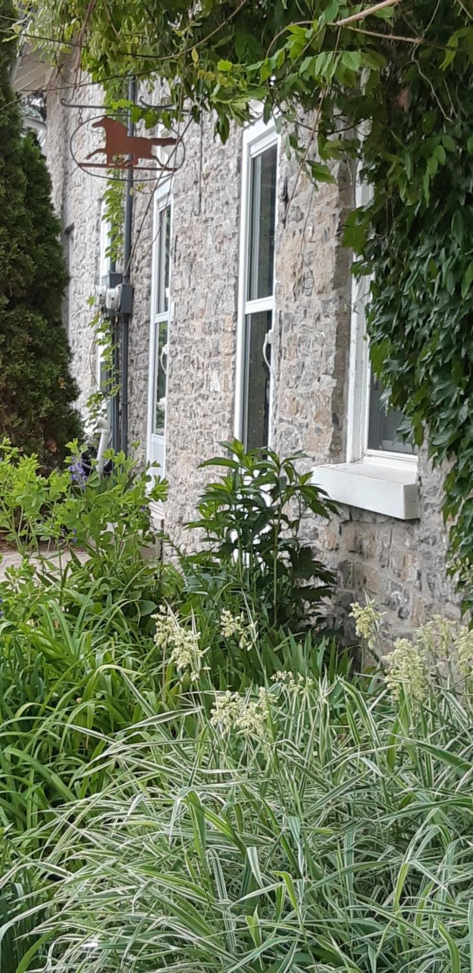 Stone Carriage House Villa Picton Eksteriør bilde